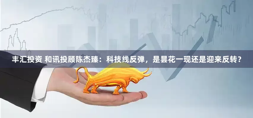 丰汇投资 和讯投顾陈杰臻：科技线反弹，是昙花一现还是迎来反转？