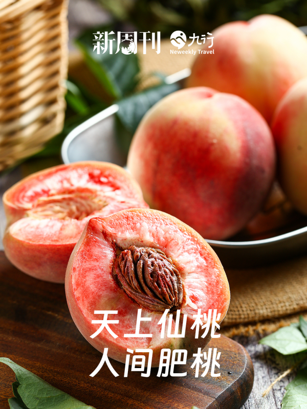 涨停吧 名字胖胖的山东小城，一到秋天香翻了